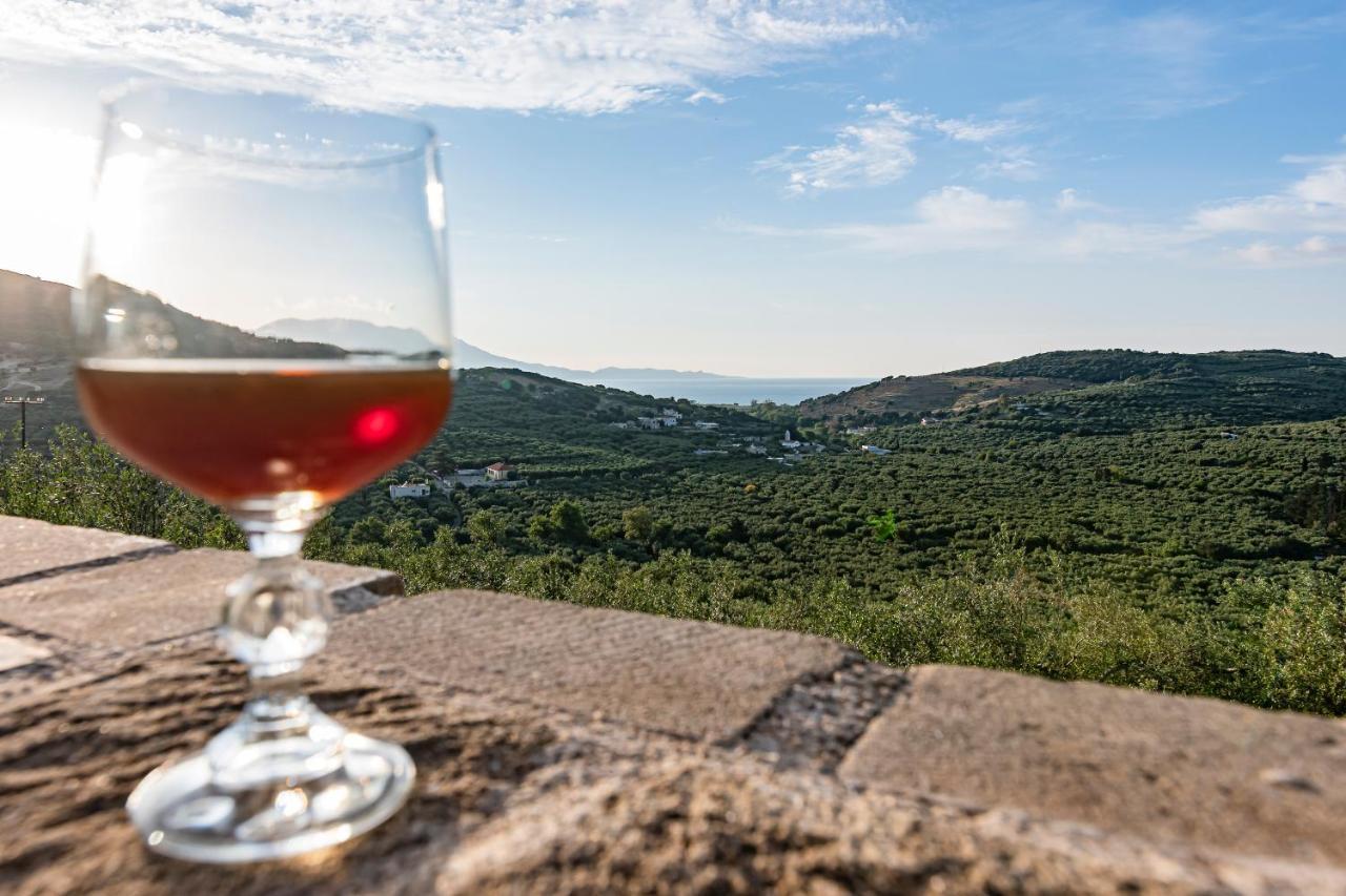 Rikanthos Stone Sea View Apartment Ι Falelianá エクステリア 写真